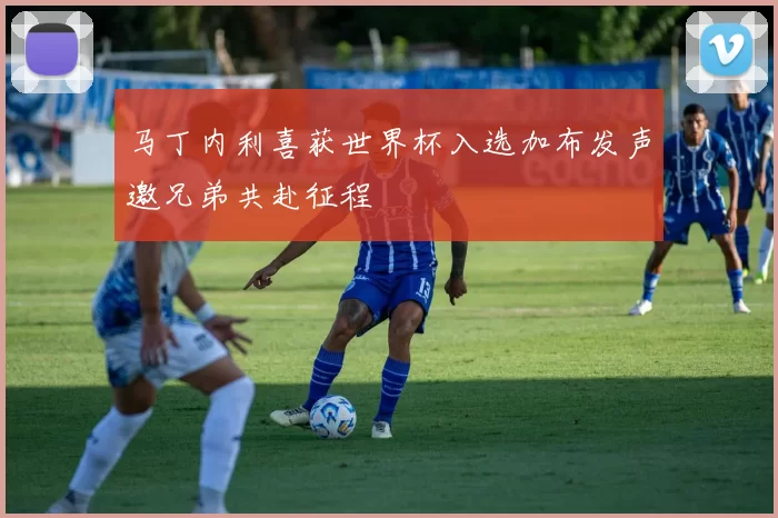 马丁内利喜获世界杯入选加布发声邀兄弟共赴征程